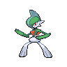 ursaring